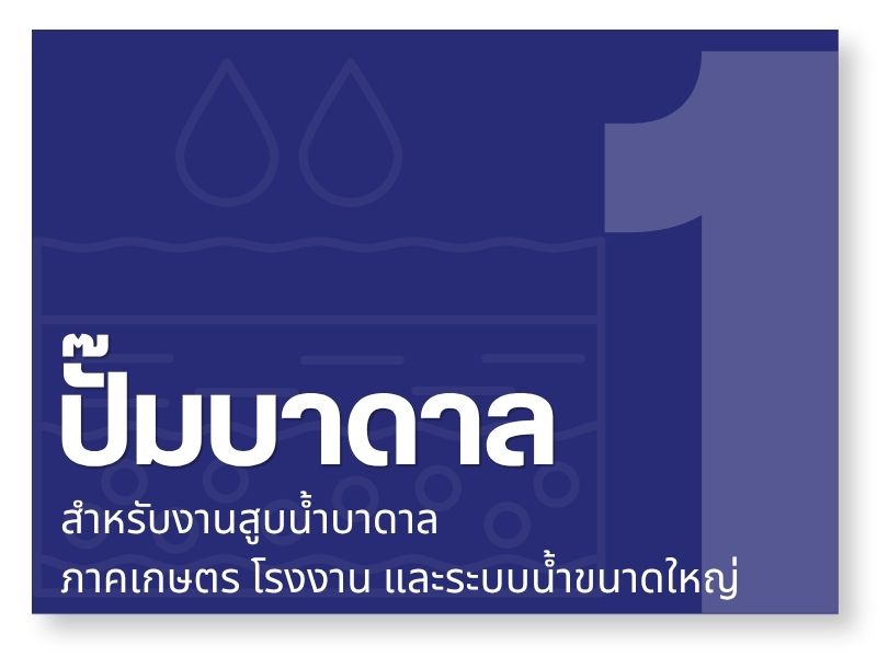 ปั๊มบาดาล (Submersible Pump)